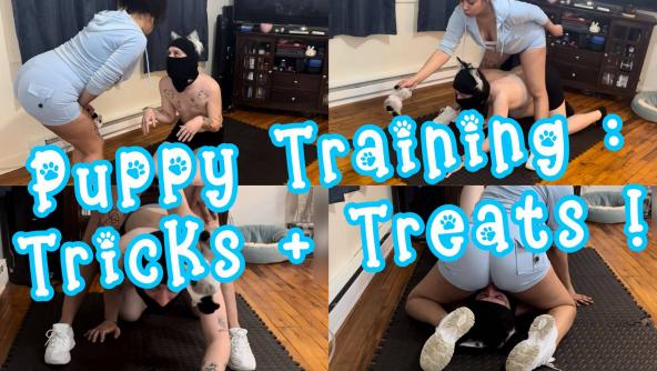  Puppy Training : Tricks & Treats ! Submissive Male Pet Play 