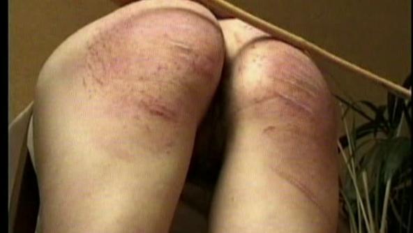 Canus On My Anus Clip One  640x480 wmv