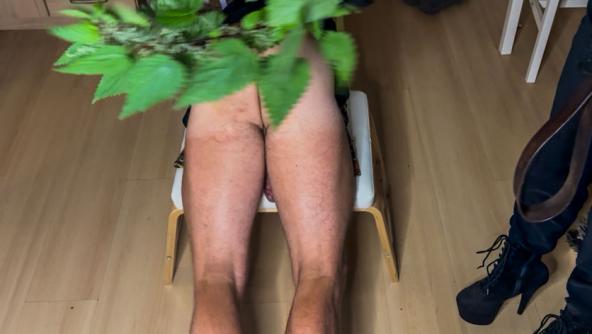 Madam D’s Night Lesson with the Nettle